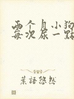 两个月小狗尿频每次尿一点点