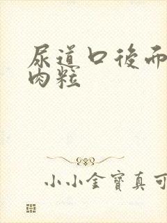 尿道口后面长小肉粒