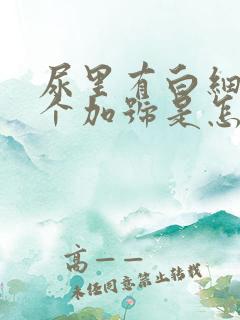 尿里有白细胞1个加号是怎么回事