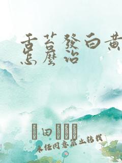 舌苔发白黄口臭怎么治