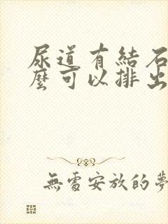 尿道有结石吃什么可以排出来