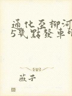 通化至柳河305几点发车啊