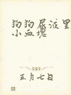 狗狗尿液里带有小血块