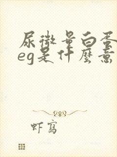 尿微量白蛋白neg是什么意思