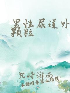 男性尿道外起小颗粒