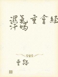 湿气重会经常出汗吗