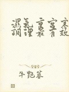 湿气重宫寒怎么调理最有效