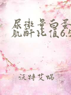 尿微量白蛋白/肌酐比值6.58