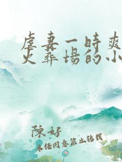 虐妻一时爽追妻火葬场的小说现言