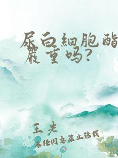 尿白细胞酯酶2 严重吗?