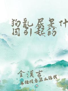 狗乱尿是什么原因引起的