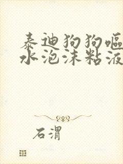 泰迪狗狗呕吐黄水泡沫粘液怎么办