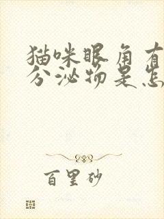 猫咪眼角有黄色分泌物是怎么回事