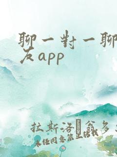 聊一对一聊天交友app