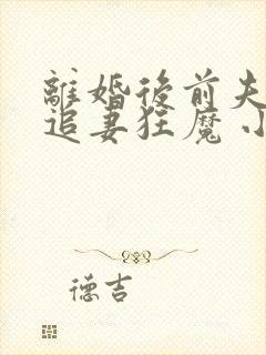 离婚后前夫成了追妻狂魔 小说