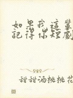 如果我这辈子还记得你短剧免费观看