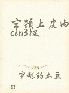 宫颈上皮内病变cin3级