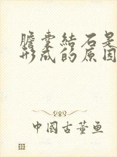 胆囊结石是怎样形成的原因是什么