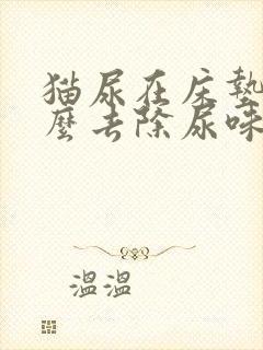 猫尿在床垫上怎么去除尿味