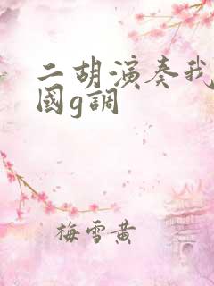 二胡演奏我的祖国g调