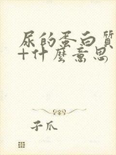 尿的蛋白质是2+什么意思