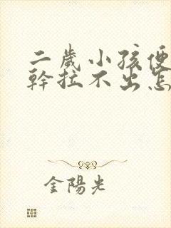 二岁小孩便秘屎干拉不出怎么办