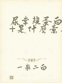 尿常规蛋白质1+是什么意思