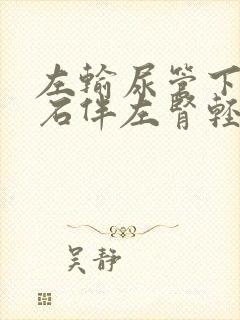 左输尿管下段结石伴左肾轻度积水