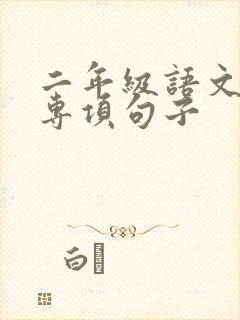 二年级语文期末专项句子