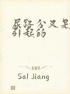 尿路分叉是怎么引起的