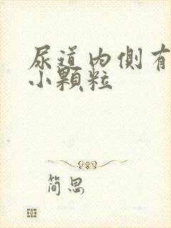 尿道内侧有白色小颗粒