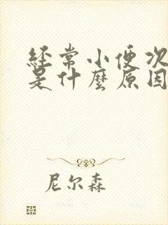 经常小便次数多是什么原因