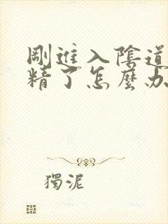 刚进入阴道就射精了怎么办