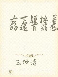 右下腹按着硬硬的还有痛感