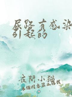 尿路有感染是咋引起的