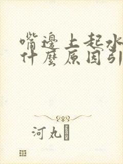 嘴边上起水泡是什么原因引起的