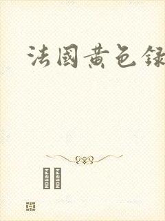 法国黄色录像片