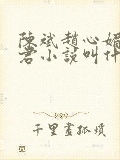 陈斌赵心媚高婉君小说叫什么名字