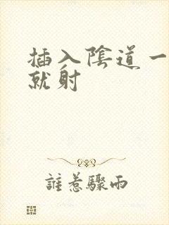 插入阴道一分钟就射