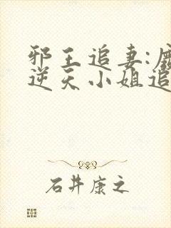 邪王追妻:废材逆天小姐追书