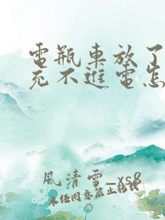 电瓶车放了一年充不进电怎么办