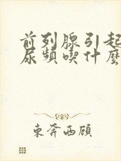 前列腺引起尿急尿频吃什么药调理