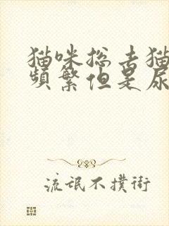 猫咪总去猫砂盆频繁但是尿的很少