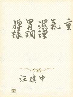 脾胃湿气重怎么样调理