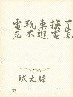 电瓶车换了电瓶充不进电怎么回事