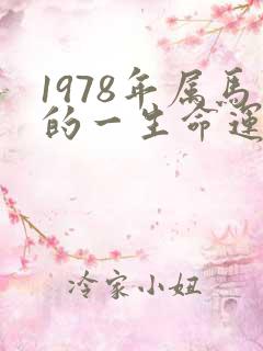 1978年属马的一生命运如何
