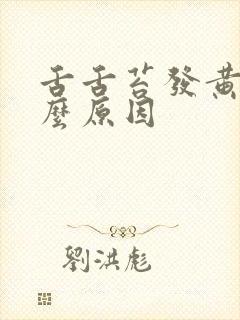 舌舌苔发黄是什么原因