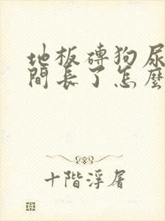 地板砖狗尿渍时间长了怎么去除