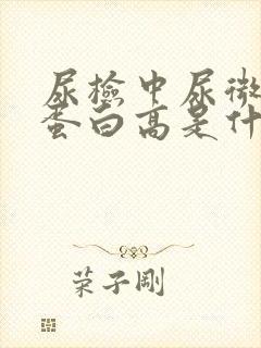 尿检中尿微量白蛋白高是什么意思