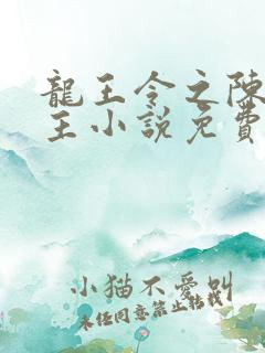 龙王令之陈平殿主小说免费阅读